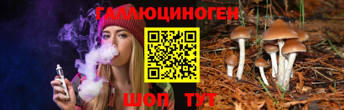 Галлюциногенные грибы GOLDEN TEACHER  Вход с VPN  Псилоцибиновые грибы Cubensis  Ливны 
